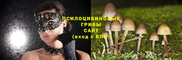 бошки Арсеньев