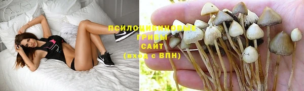 бошки Арсеньев